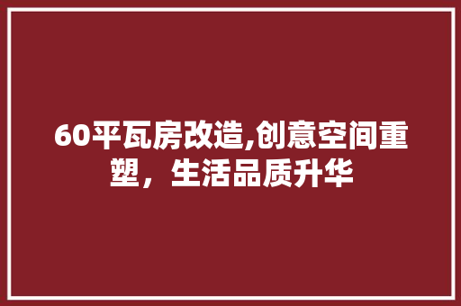 60平瓦房改造,创意空间重塑，生活品质升华