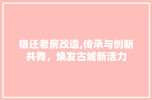 宿迁老房改造,传承与创新共舞，焕发古城新活力