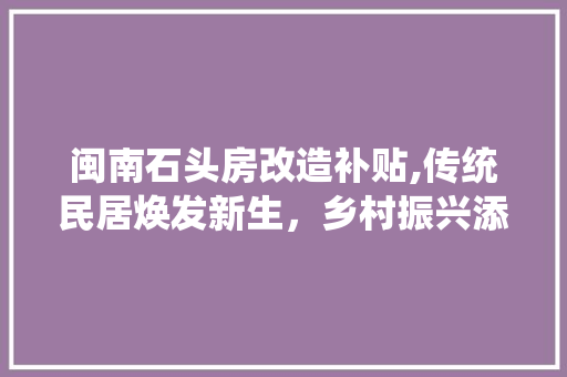 闽南石头房改造补贴,传统民居焕发新生，乡村振兴添活力