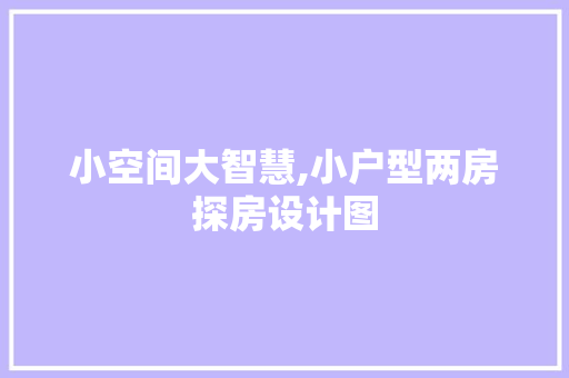 小空间大智慧,小户型两房探房设计图