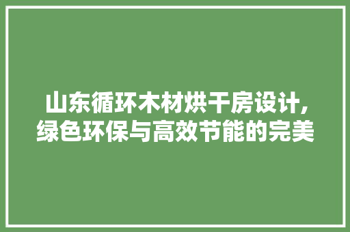 山东循环木材烘干房设计,绿色环保与高效节能的完美结合