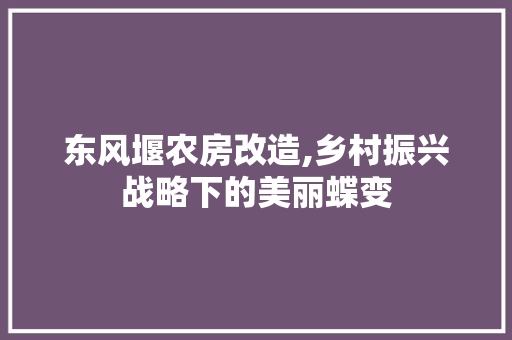 东风堰农房改造,乡村振兴战略下的美丽蝶变