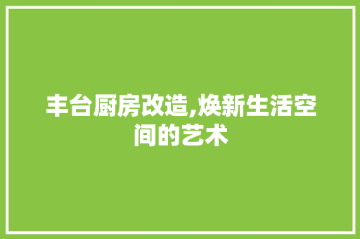 丰台厨房改造,焕新生活空间的艺术