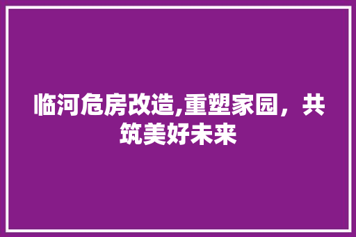 临河危房改造,重塑家园，共筑美好未来