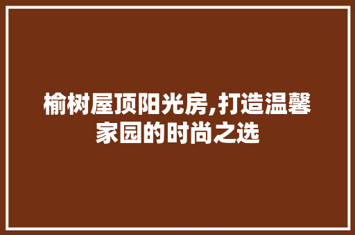 榆树屋顶阳光房,打造温馨家园的时尚之选
