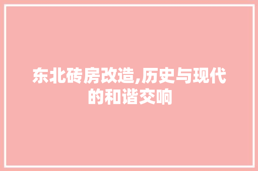 东北砖房改造,历史与现代的和谐交响
