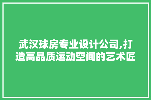 武汉球房专业设计公司,打造高品质运动空间的艺术匠心