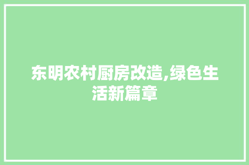 东明农村厨房改造,绿色生活新篇章