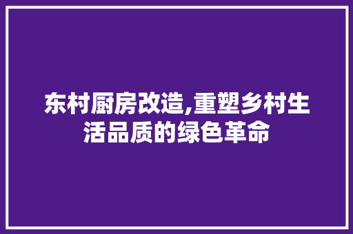 东村厨房改造,重塑乡村生活品质的绿色革命