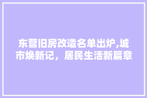 东营旧房改造名单出炉,城市焕新记，居民生活新篇章