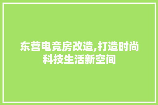 东营电竞房改造,打造时尚科技生活新空间