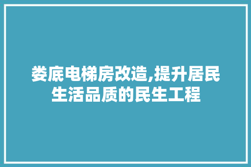 娄底电梯房改造,提升居民生活品质的民生工程