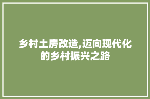 乡村土房改造,迈向现代化的乡村振兴之路