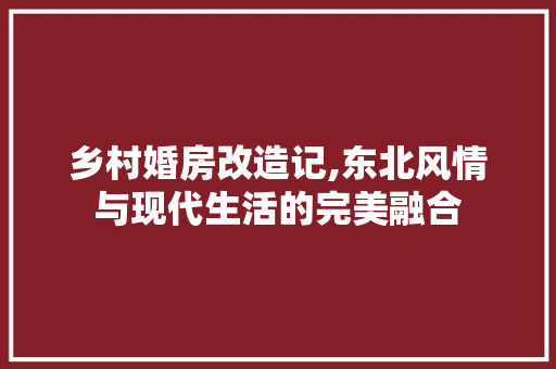乡村婚房改造记,东北风情与现代生活的完美融合