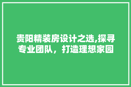 贵阳精装房设计之选,探寻专业团队，打造理想家园
