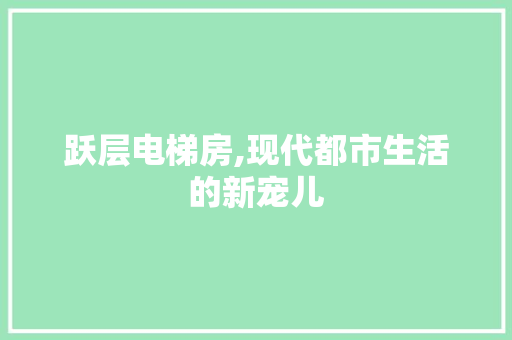 跃层电梯房,现代都市生活的新宠儿
