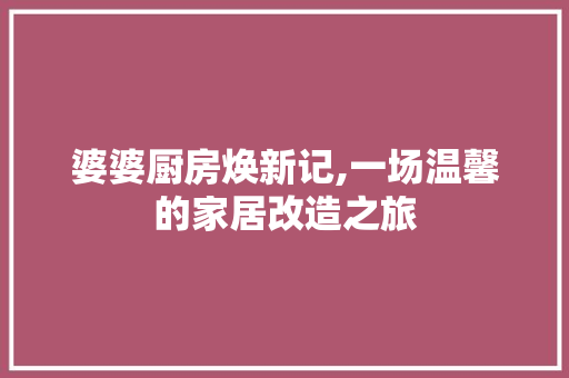 婆婆厨房焕新记,一场温馨的家居改造之旅