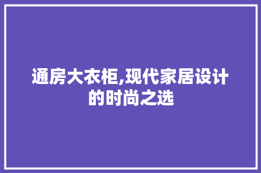 通房大衣柜,现代家居设计的时尚之选