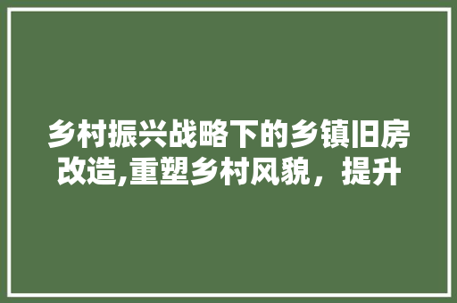 乡村振兴战略下的乡镇旧房改造,重塑乡村风貌，提升居民生活品质