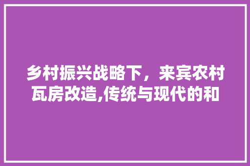 乡村振兴战略下，来宾农村瓦房改造,传统与现代的和谐共生
