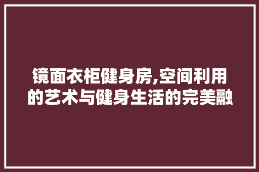 镜面衣柜健身房,空间利用的艺术与健身生活的完美融合