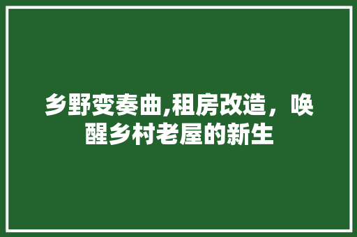 乡野变奏曲,租房改造，唤醒乡村老屋的新生