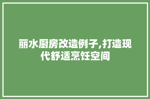 丽水厨房改造例子,打造现代舒适烹饪空间