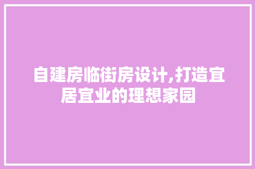 自建房临街房设计,打造宜居宜业的理想家园
