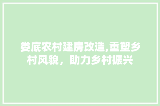 娄底农村建房改造,重塑乡村风貌，助力乡村振兴