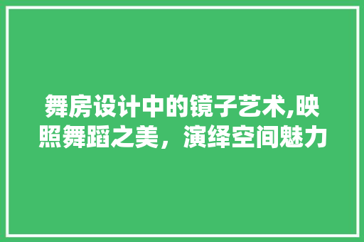 舞房设计中的镜子艺术,映照舞蹈之美，演绎空间魅力