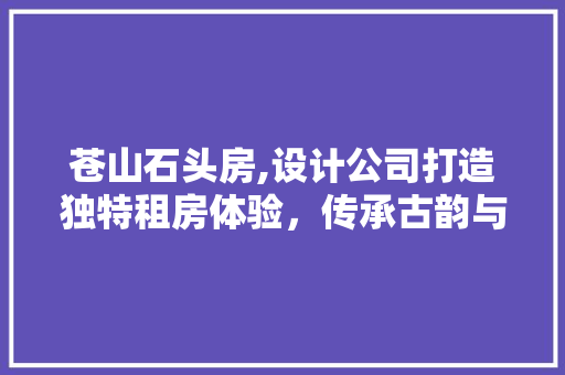 苍山石头房,设计公司打造独特租房体验，传承古韵与现代美学