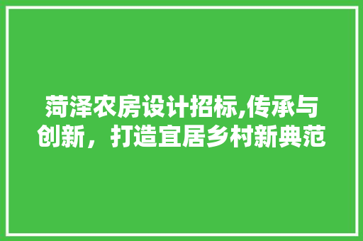菏泽农房设计招标,传承与创新，打造宜居乡村新典范
