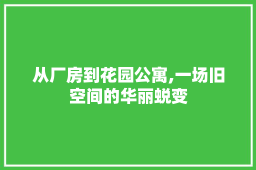 从厂房到花园公寓,一场旧空间的华丽蜕变