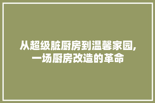 从超级脏厨房到温馨家园,一场厨房改造的革命