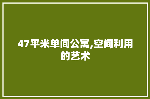 47平米单间公寓,空间利用的艺术