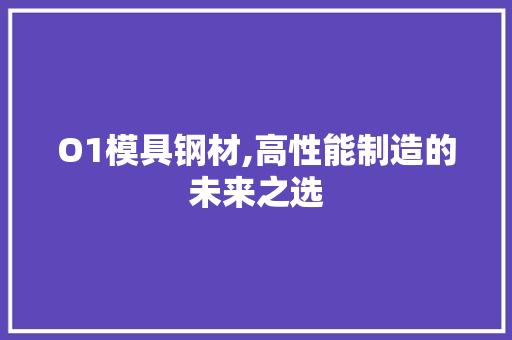 O1模具钢材,高性能制造的未来之选