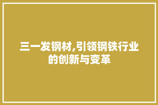 三一发钢材,引领钢铁行业的创新与变革