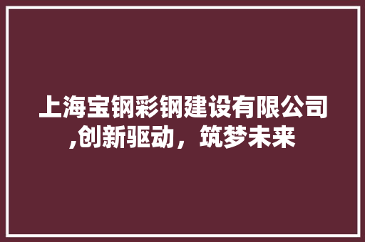上海宝钢彩钢建设有限公司,创新驱动，筑梦未来