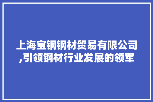 上海宝钢钢材贸易有限公司,引领钢材行业发展的领军企业