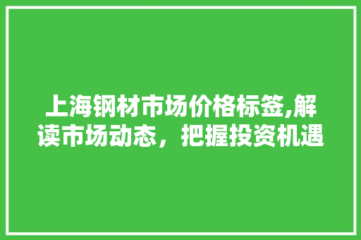 上海钢材市场价格标签,解读市场动态，把握投资机遇