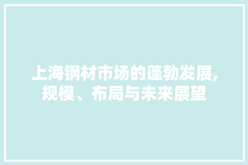 上海钢材市场的蓬勃发展,规模、布局与未来展望