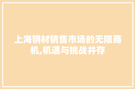 上海钢材销售市场的无限商机,机遇与挑战并存