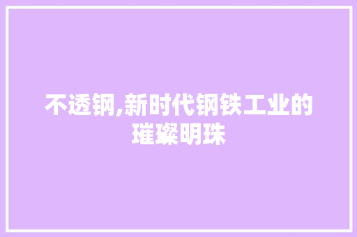 不透钢,新时代钢铁工业的璀璨明珠