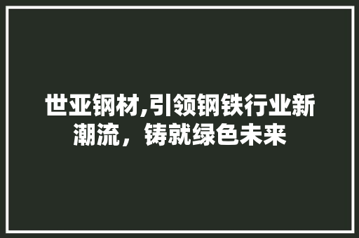 世亚钢材,引领钢铁行业新潮流，铸就绿色未来