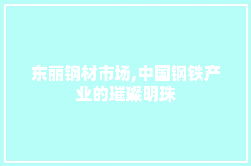 东丽钢材市场,中国钢铁产业的璀璨明珠