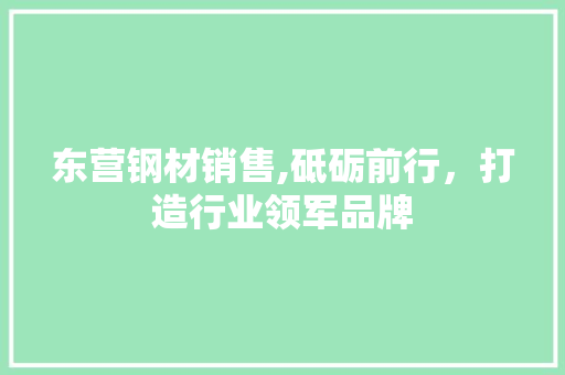 东营钢材销售,砥砺前行，打造行业领军品牌