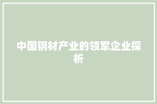 中国钢材产业的领军企业探析