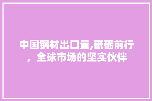 中国钢材出口量,砥砺前行，全球市场的坚实伙伴
