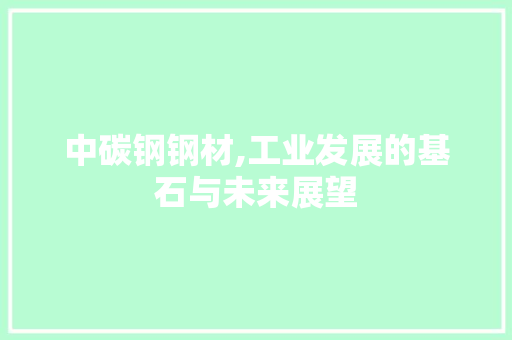 中碳钢钢材,工业发展的基石与未来展望