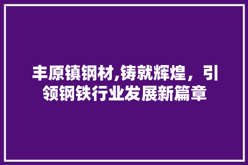 丰原镇钢材,铸就辉煌，引领钢铁行业发展新篇章